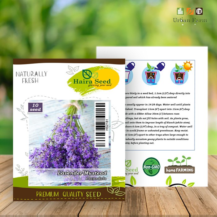 Benih-Bibit Bunga Lavender Mustead (Haira Seed)