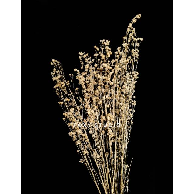 DRIED PIKOK / BUNGA PIKOK KERING