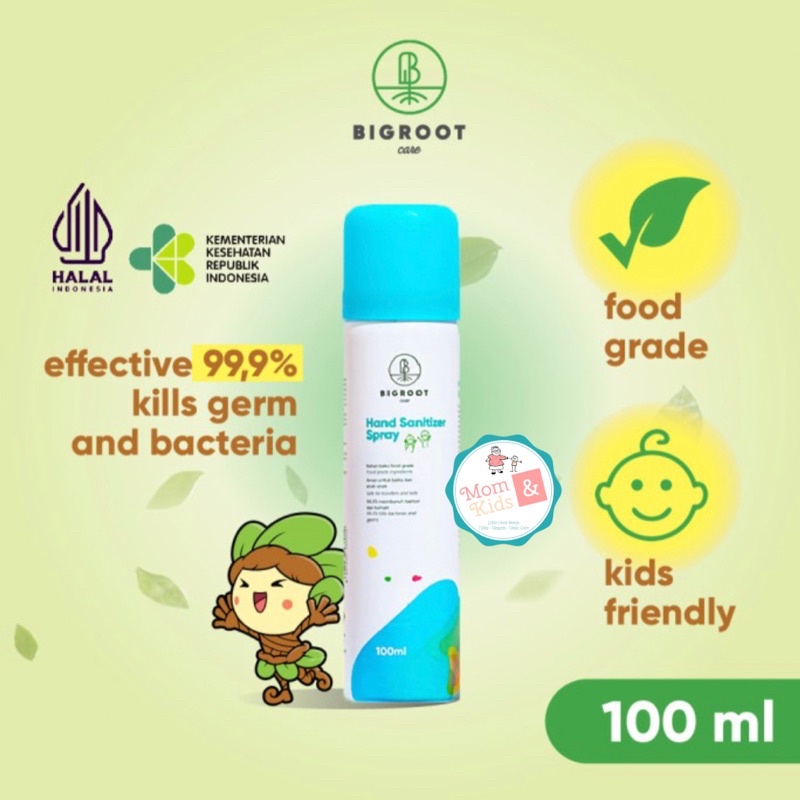 BIGROOT Hand Sanitizer Foodgrade Spray 100 ml