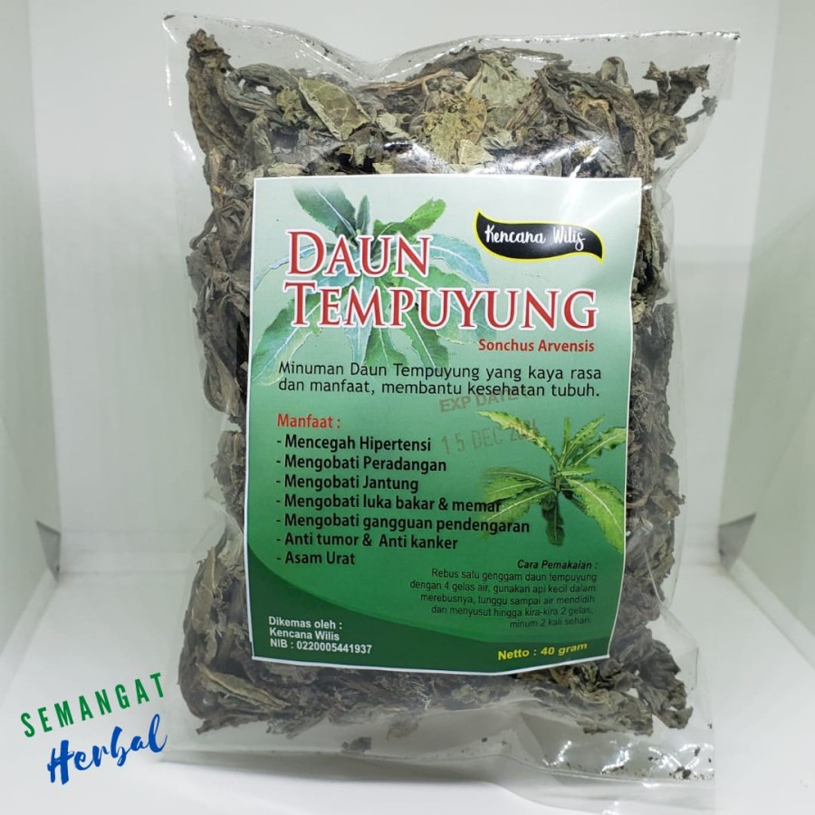 

Daun Tempuyung Kering Kencana Wilis 40 gram