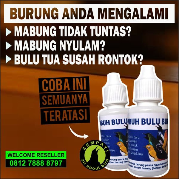 Zenka Alami Bird Care Obat Burung Sakit Perontok Bulu Sempati Bird Shop