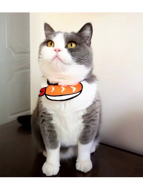 Pet 3D bib sushi