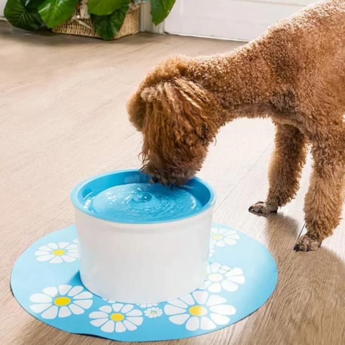 620 Gambar Hewan Minum Air HD