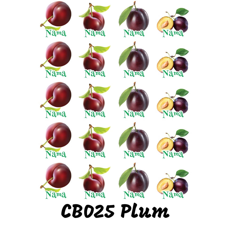 

Sticker Nama Cutting Label Waterproof Tahan Air Plum (CB025)