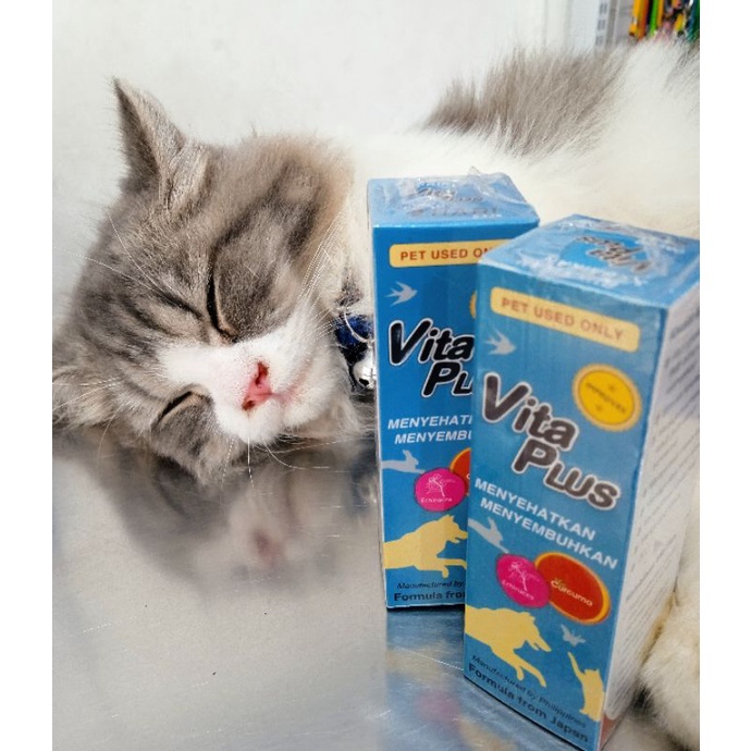 vita plus vitamin kucing Anjing kelinci