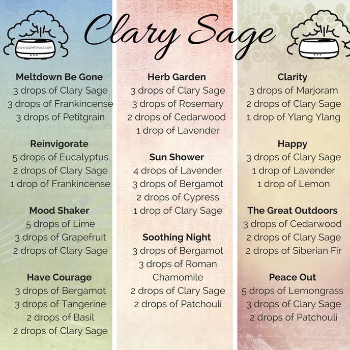 Doterra Clary Sage 15Ml Essential Oil | Young Insom Menstrual Living Nandaputriah