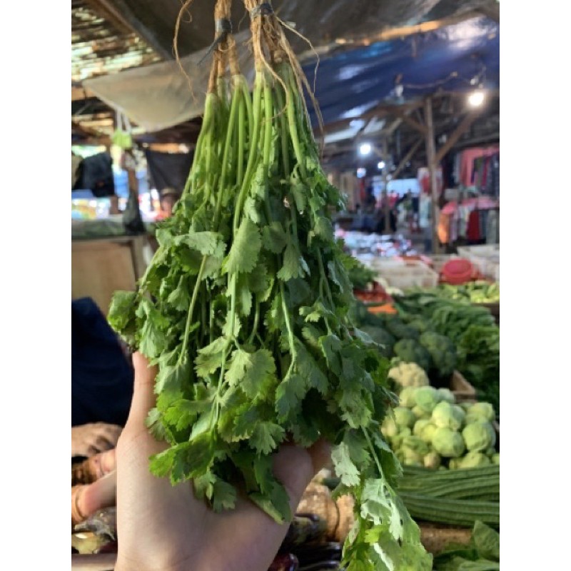 

daun wansui/ daun ketumbarr (1 ikat)