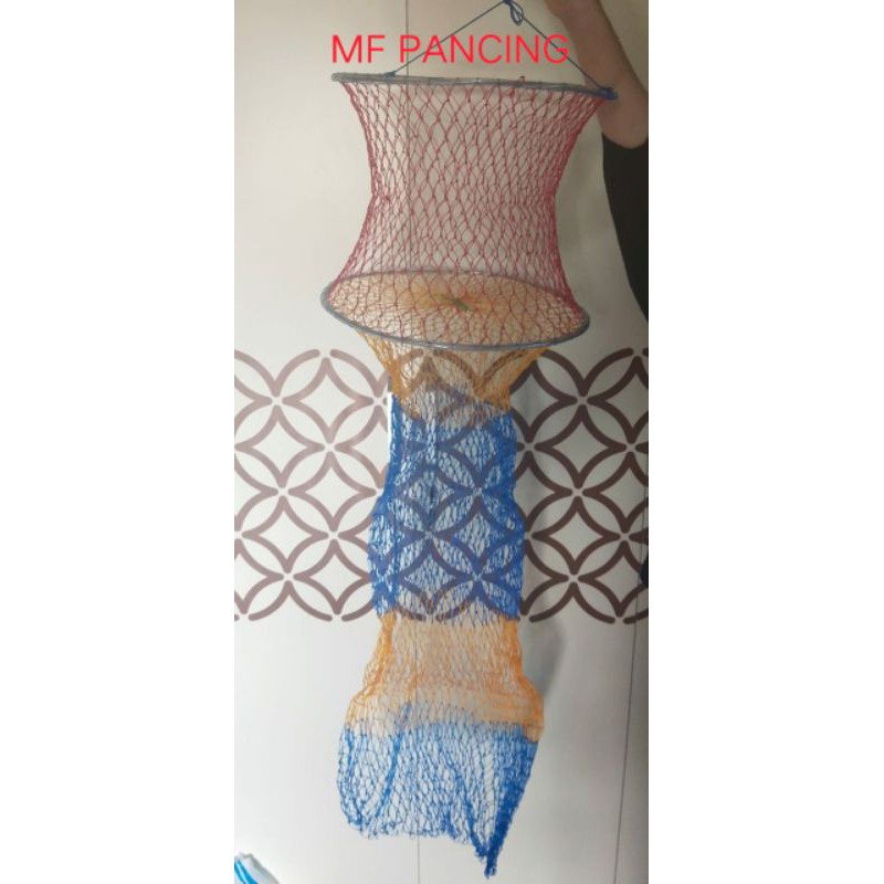 Koja ikan warna/ keramba ikan ukuran jumbo