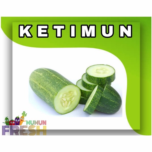 

ketimun 500gr