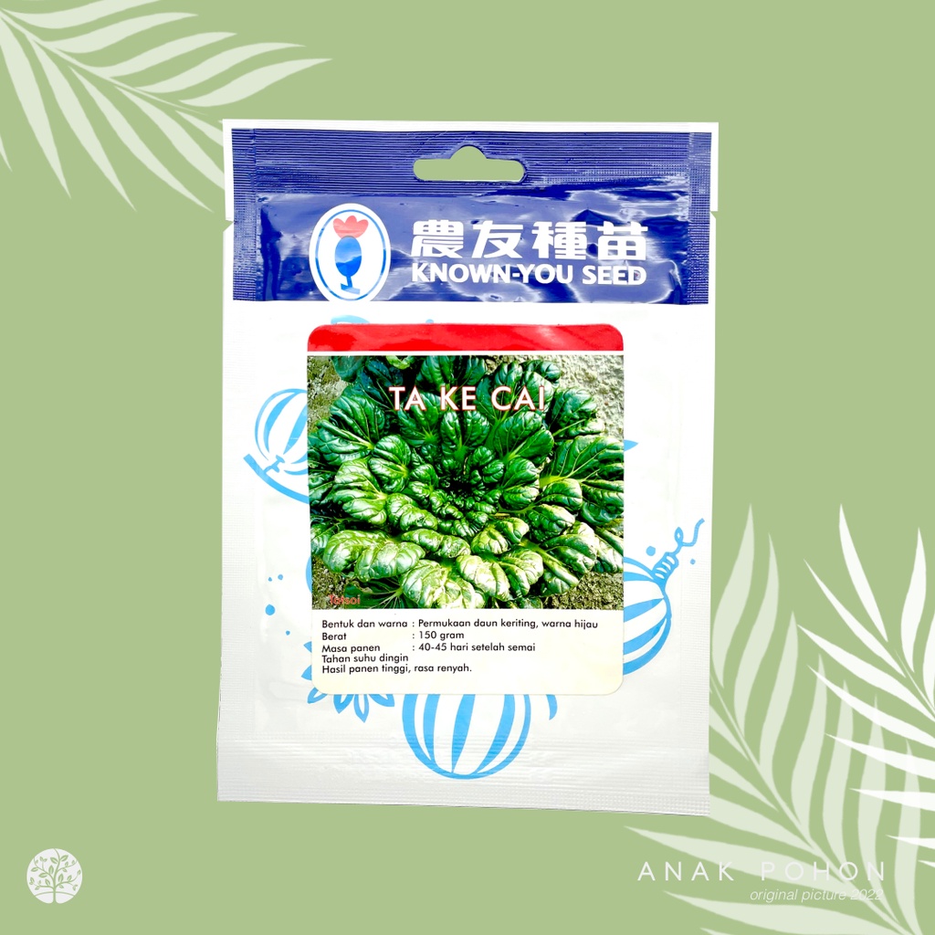 (1 PACK) Benih Sawi Tatsoi Pagoda TA KE CAI Takecai Seeds - Known You Seed KYS - 10 GRAM