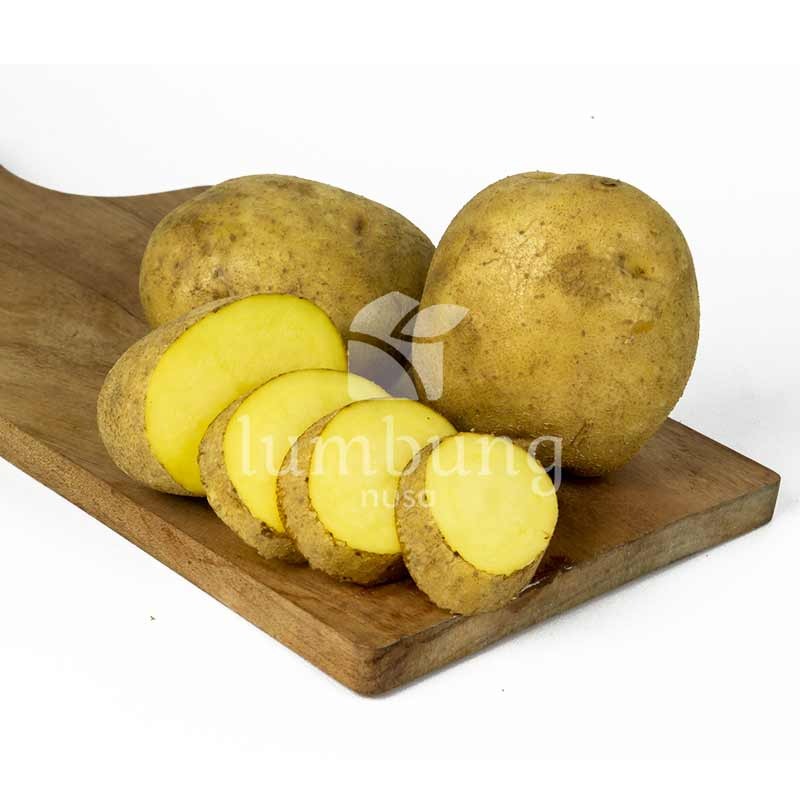 

Kentang (500 gr)
