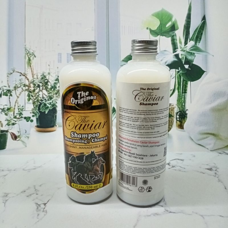 SHAMPOO KUDA CAVIAR | CEPAT MENUMBUHKAN &amp; MELEBATKAN RAMBUT | 25 ML