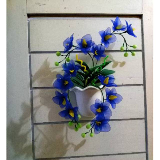 Bunga tembok stocking, bunga stocking, bunga tembok