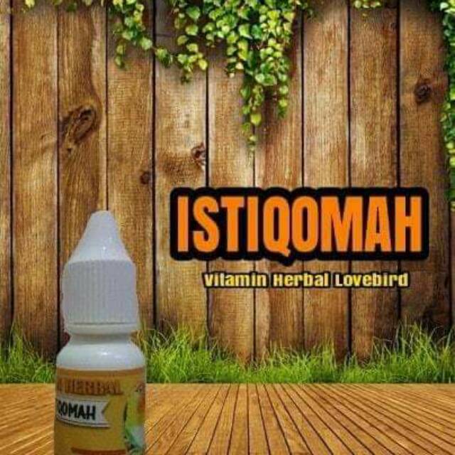 Vitamin Istiqomah untuk burung LB paud/dewasa