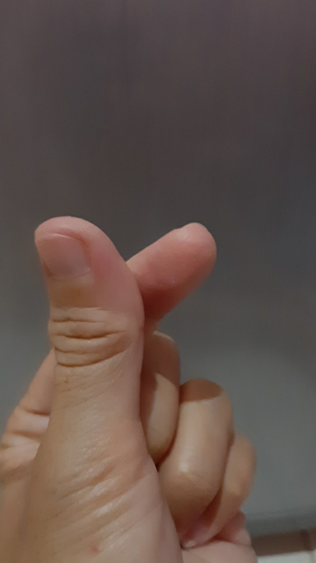 [termurah] 10pcs Kaos Kaki Ankle Brown Line+tas Logo Brown Line Kaos Kaki Import