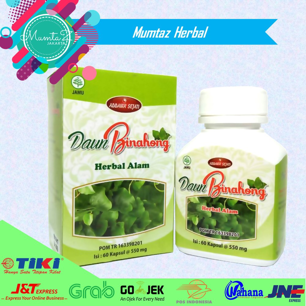 Kapsul Daun Binahong Ekstrak Daun Binahong 60 Kapsul