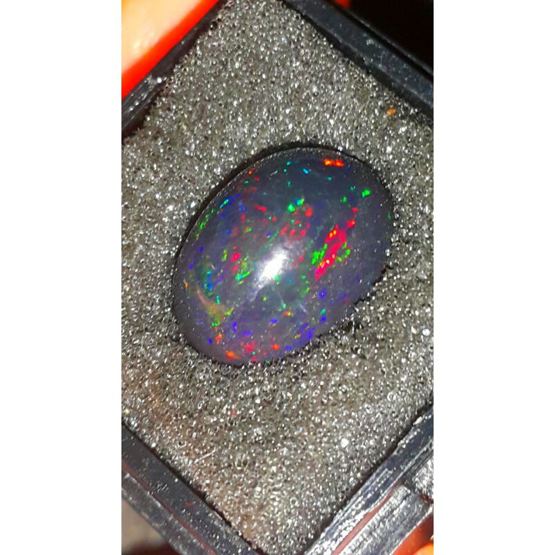 BLACK OPAL OPAQUE/SOLID