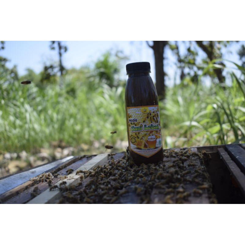 

Madu Klanceng Trigona 500gr