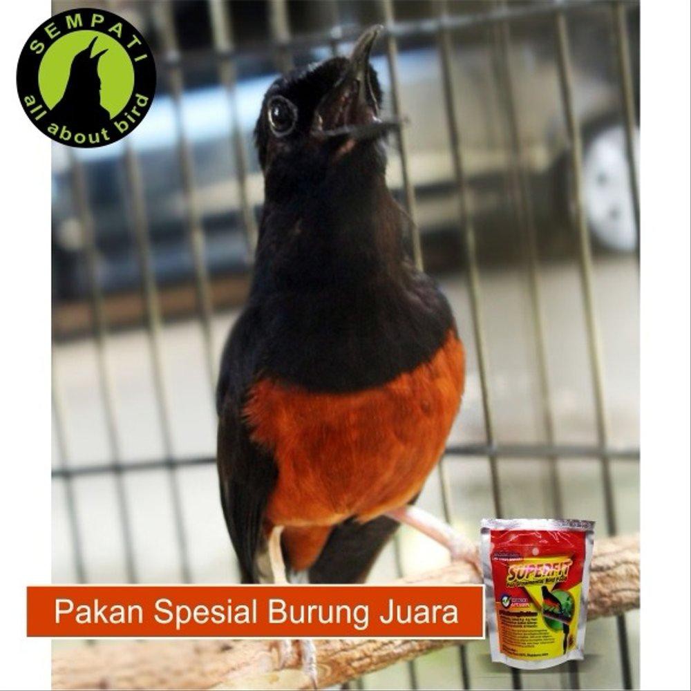 Superfit Silver Pakan Voer Crumble High Protein Untuk Burung