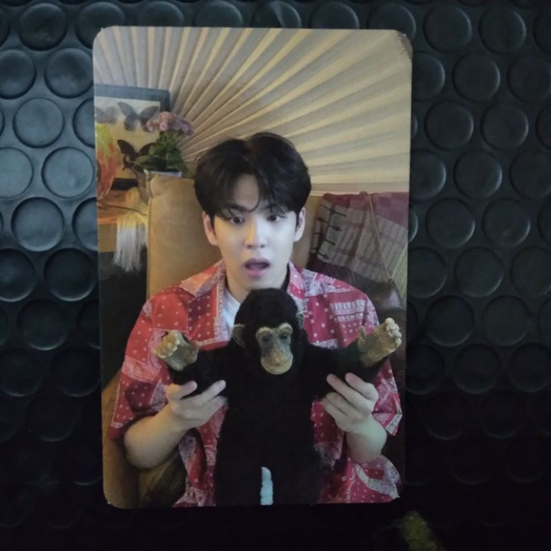 PC PHOTOCARD WONPIL MONYET RTM