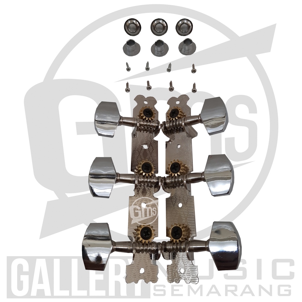 Dryer Gitar/Tuning/Peg Stainless (A24)