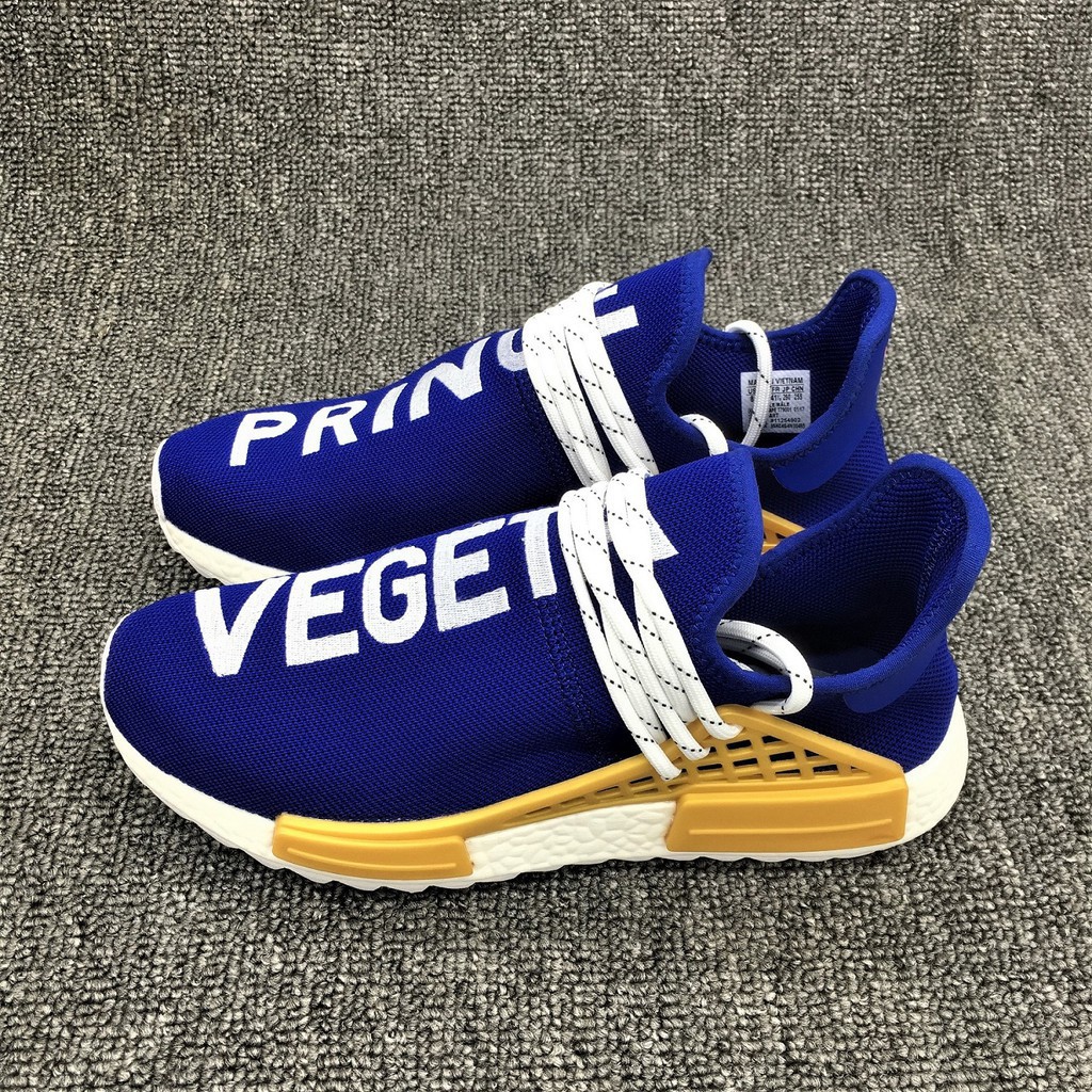 human race dragon ball