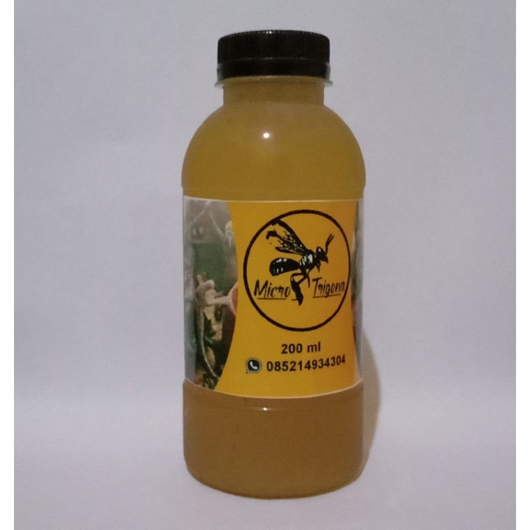 

Madu Trigona Itama