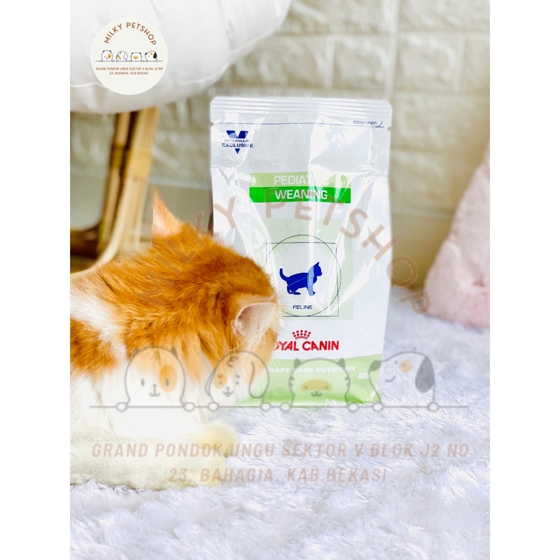 Royal Canin Pediatric Weaning Veterinary Exclusive Freshpack 400gram 400gram 400gr 400 gram 400 gr