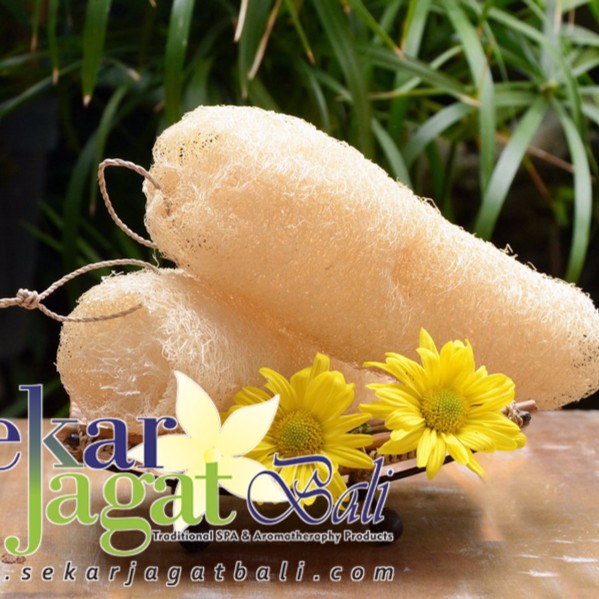 Loofah Vegetable Sponge