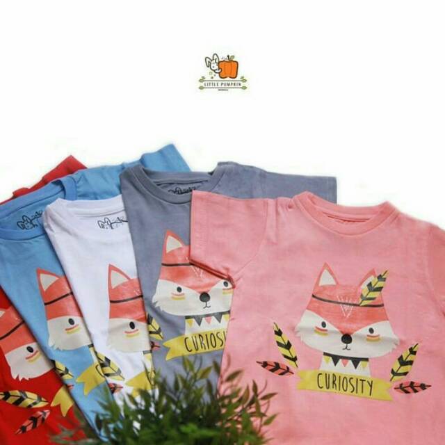 Kaos Anak Little Pumpkin/ Little Pumpkin Indonesia/ kaos bayi/ baju bayi