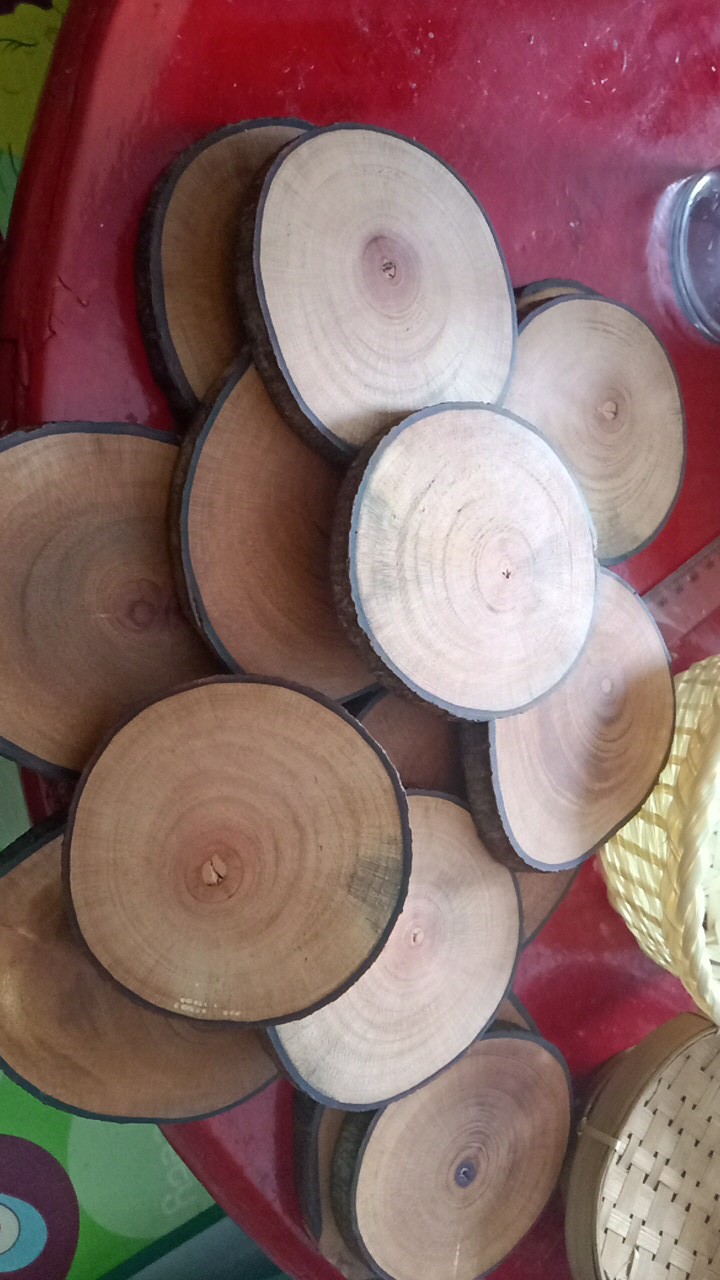 Dekornata Wooden Slice 10-14 Cm / Wood Slice/ Potongan Kayu Decor/alas Cangkir / Dekornata