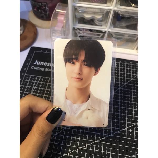 [BOOKED] JENO BONEKA BENE SMSTORE SG22