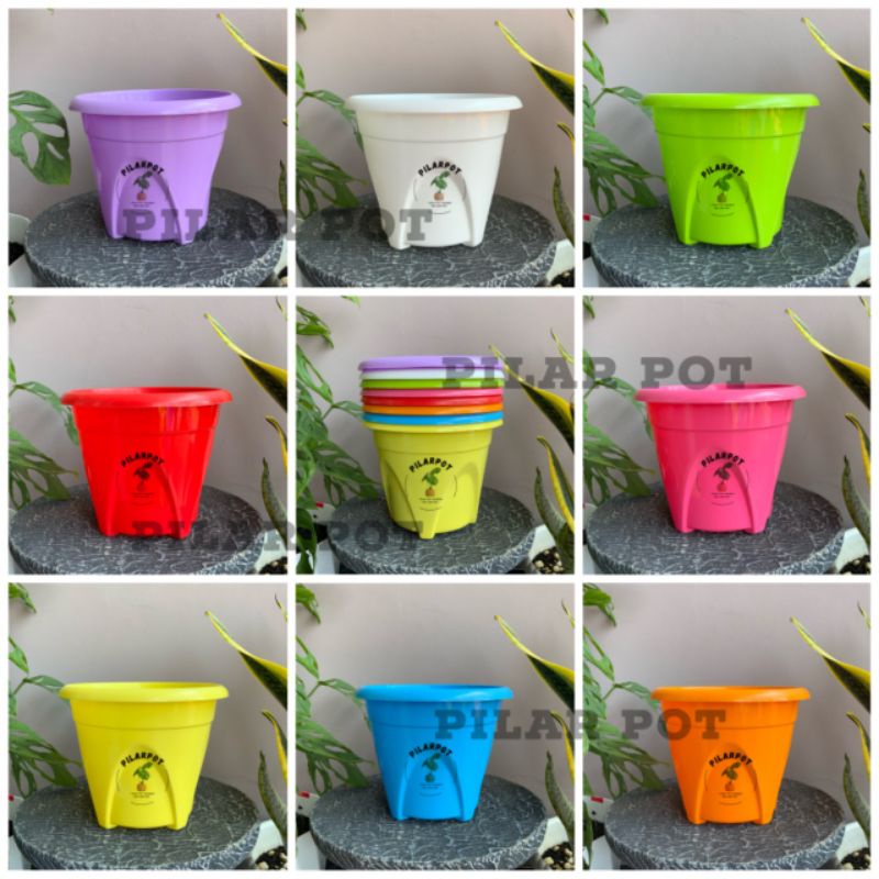 pot bunga tanaman nkt nanas 20 warna warni - NKT NANAS