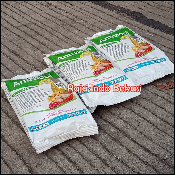 Fungisida Antracol 70 Wp 250 Gram Gr Obat Tanaman Jamur Untuk Anggrek Dan Tanaman Lain | Bukan Pupuk