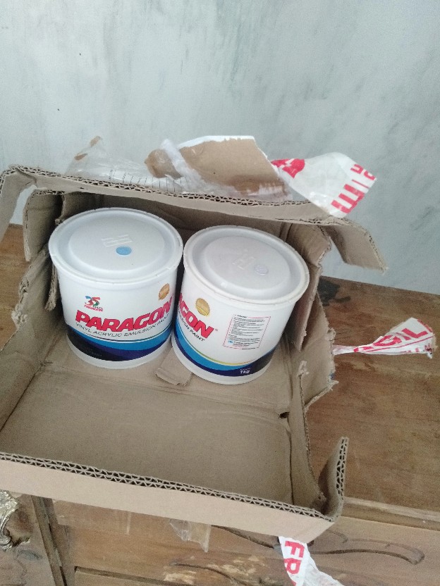 Cat Paragon 1 Kg
