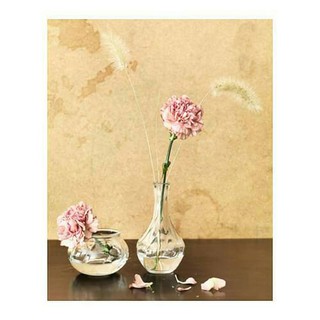 Dijual IKEA VILJESTRAK Vas  bunga  unik kaca  bening 17cm  Dijual IKEA VILJESTRAK Vas  bunga  unik kaca  bening 17cm