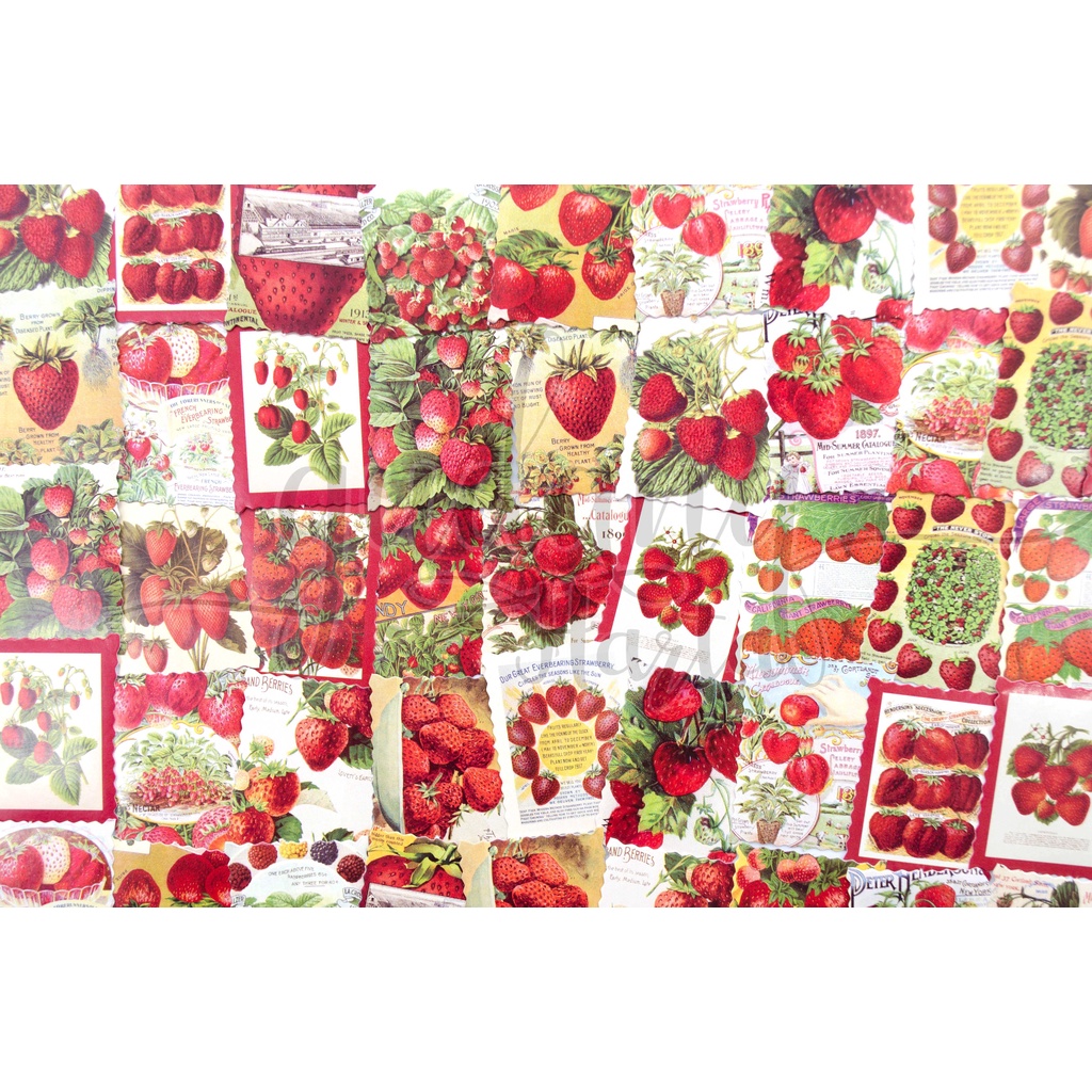 Stiker Red Strawberry Sticker Motif Buah Strawberry DIY Scrapbook GH 303740