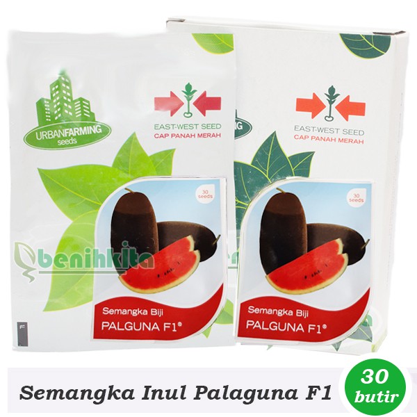 Benih-Bibit Semangka Inul Palaguna F1 (Cap Panah Merah)