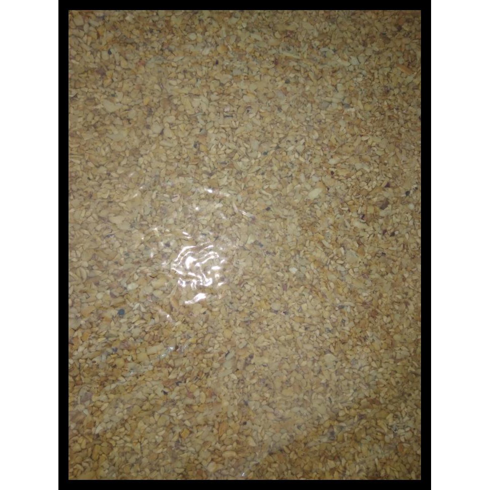 

HOT SALE kacang mede menir terjamin