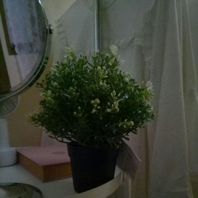 Fejka, Tanaman Tiruan Dalam Pot, Oregano, timi, Rosemary 9 Cm