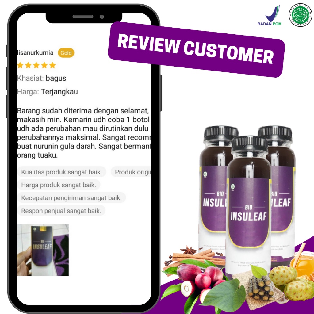 BIO INSULEAF ORIGINAL Herbal Alami Turunkan Gula Darah - Ringankan Gejala Kencing Manis Solusi Atasi Gula Darah Tinggi 250ml