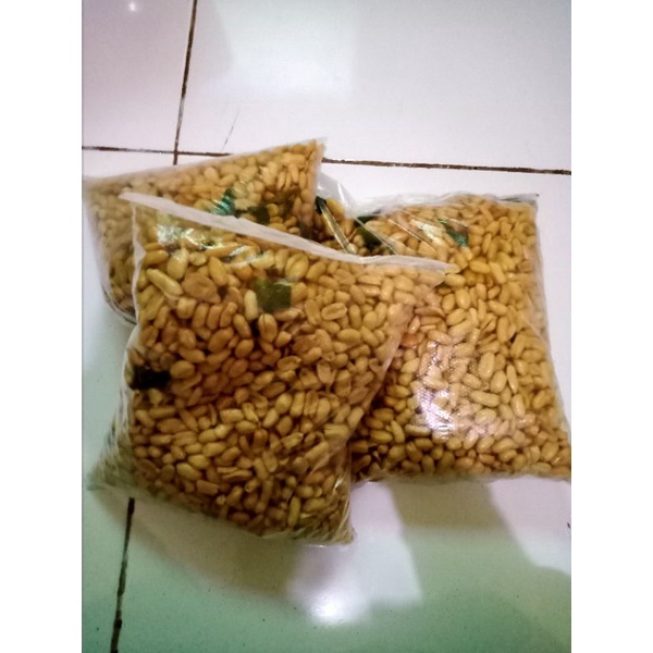 

kacang langkose