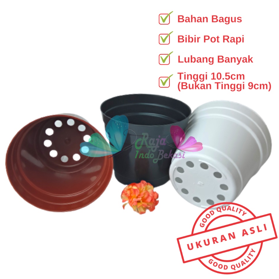 Pot 12 Cm Putih Hitam Merah Bata Merah Coklat Terracota Terracotta - Pot 12 Hitam Kecil Mini Minimalis Plastik Kaktus Sukulen Mini Murah Pot Bibit Pembibitan