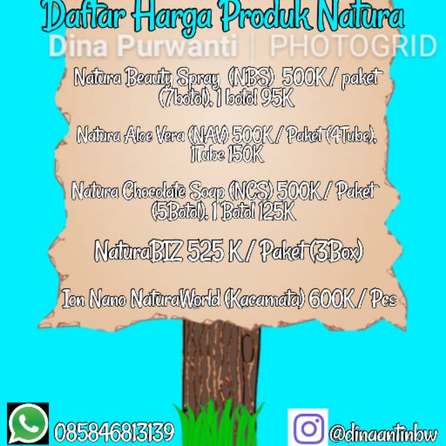 dinapurwantisurandes