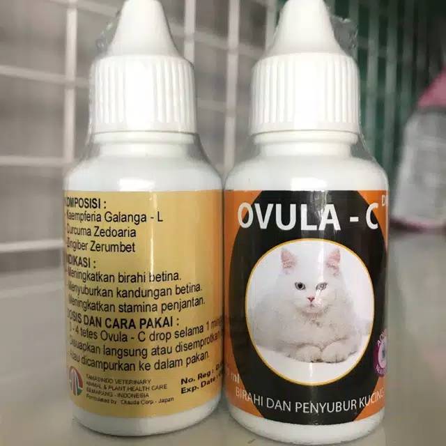 Ovula - C obat untuk birahi dan penyubur kucing