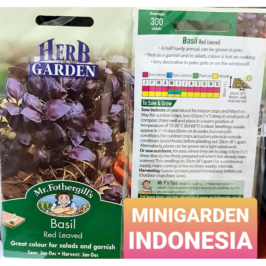 Benih Herbal BASIL UNGU RED LEAVED PACK ISI 300 BIJI basil merah F1 Mr. Fothergills Bibit tanaman obat herb