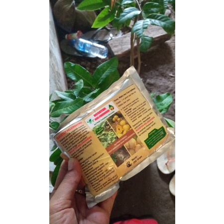Booster Kelengkeng, Perangsang Bunga Buah Kelengkeng