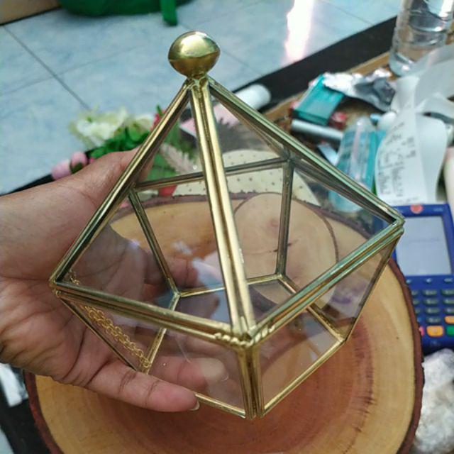 Tempat Cincin Terrarium
