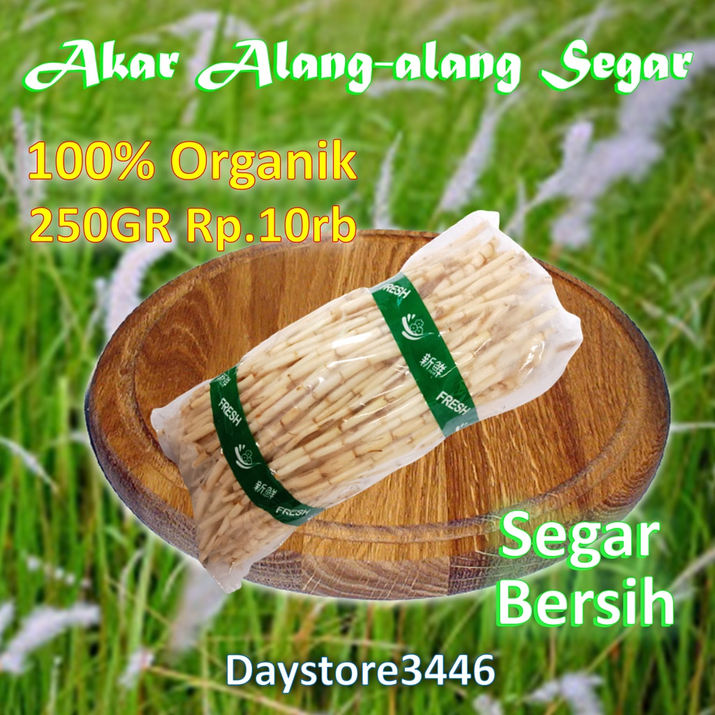 

Akar Alang alang Segar Super Fress 250 Gram Dari Pegunungan Ciremai