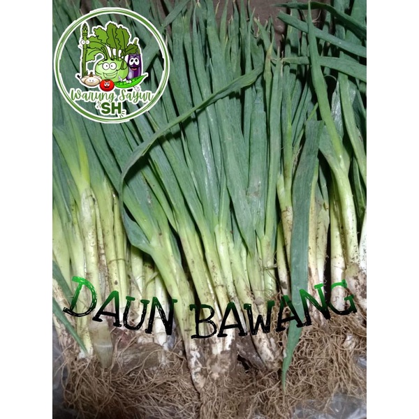 

Daun Bawang 500 gram | Fresh Vagetable